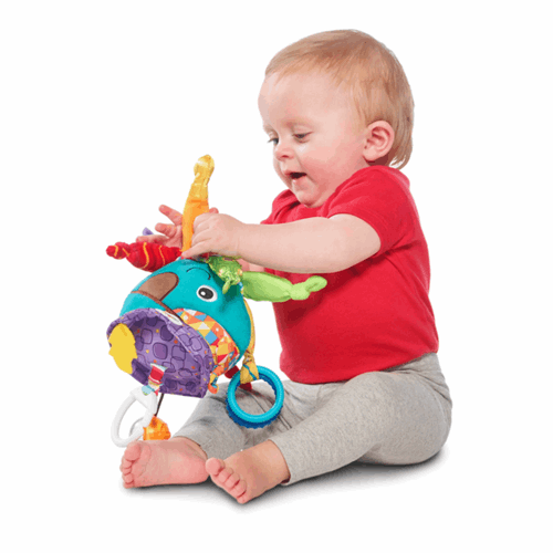 کاپیتان کالاماری