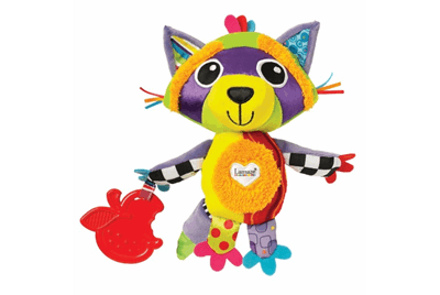 رایلی ،راکون دوست داشتنی