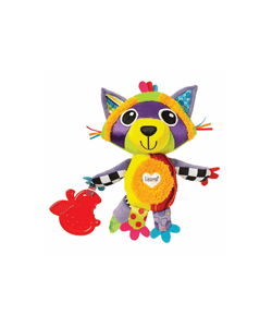 رایلی ،راکون دوست داشتنی