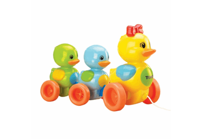 اردک خانوم و جوجه هایش