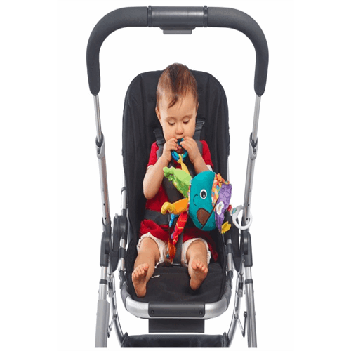 کاپیتان کالاماری 27562 1