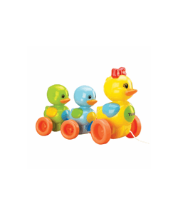 اردک خانوم و جوجه هایش