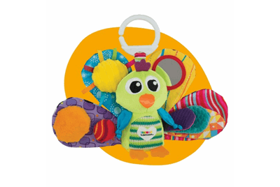 طاووس کوچولو