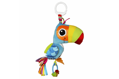 طوطی رنگارنگ